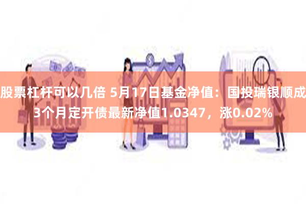 股票杠杆可以几倍 5月17日基金净值：国投瑞银顺成3个月定开债最新净值1.0347，涨0.02%