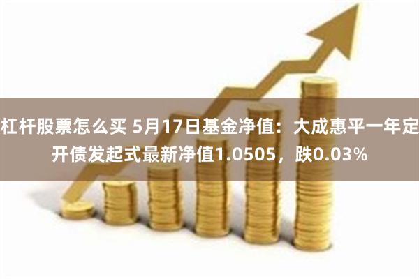 杠杆股票怎么买 5月17日基金净值：大成惠平一年定开债发起式最新净值1.0505，跌0.03%