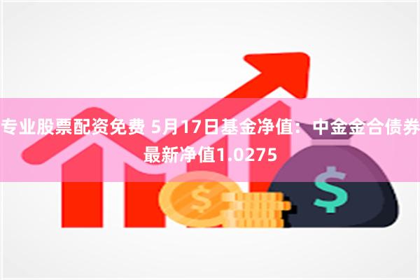 专业股票配资免费 5月17日基金净值：中金金合债券最新净值1.0275