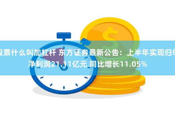 股票什么叫加杠杆 东方证券最新公告：上半年实现归母净利润21.11亿元 同比增长11.05%