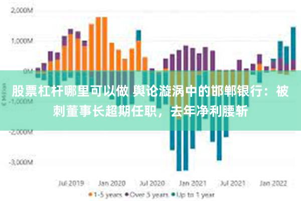 股票杠杆哪里可以做 舆论漩涡中的邯郸银行：被刺董事长超期任职，去年净利腰斩