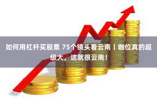 如何用杠杆买股票 75个镜头看云南丨咖位真的超级大，这就很云南！