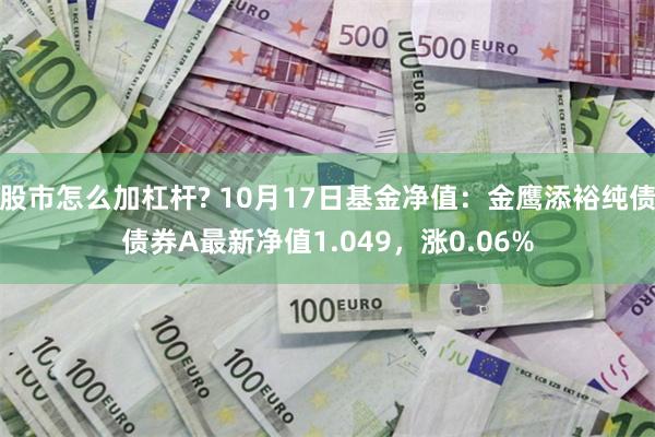 股市怎么加杠杆? 10月17日基金净值：金鹰添裕纯债债券A最新净值1.049，涨0.06%