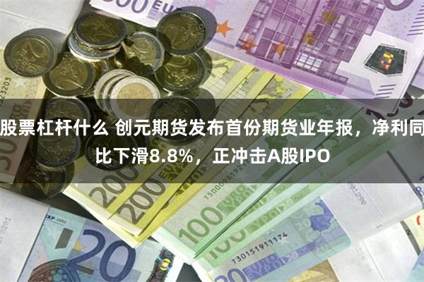 股票杠杆什么 创元期货发布首份期货业年报，净利同比下滑8.8%，正冲击A股IPO