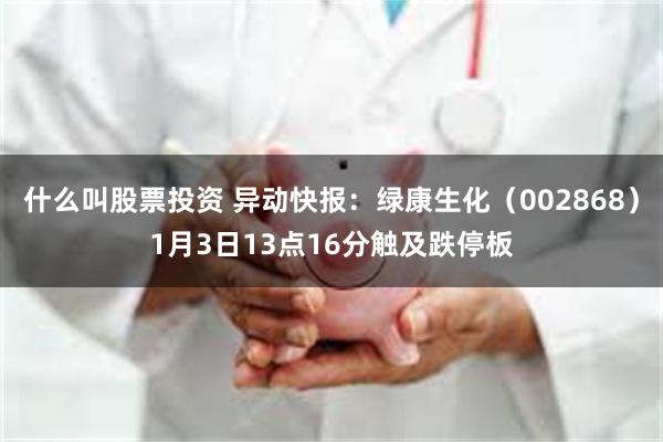 什么叫股票投资 异动快报：绿康生化（002868）1月3日13点16分触及跌停板