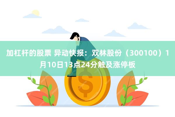 加杠杆的股票 异动快报：双林股份（300100）1月10日13点24分触及涨停板