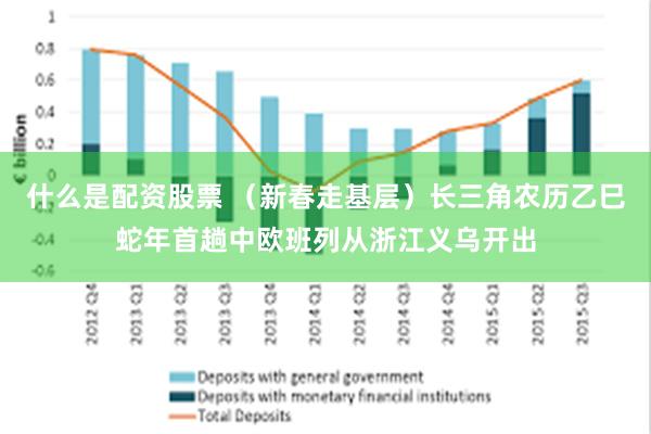 什么是配资股票 （新春走基层）长三角农历乙巳蛇年首趟中欧班列从浙江义乌开出