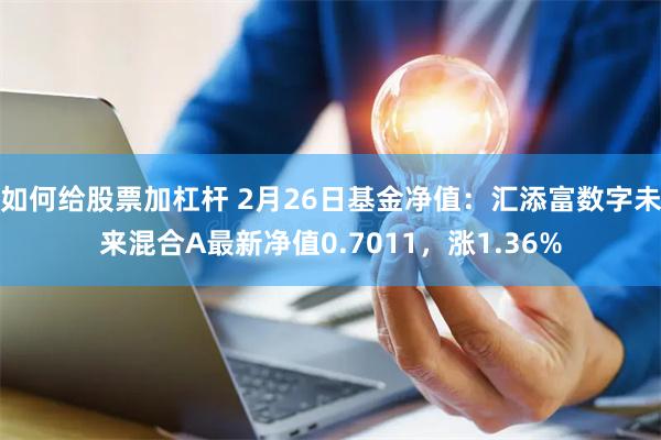 如何给股票加杠杆 2月26日基金净值：汇添富数字未来混合A最新净值0.7011，涨1.36%